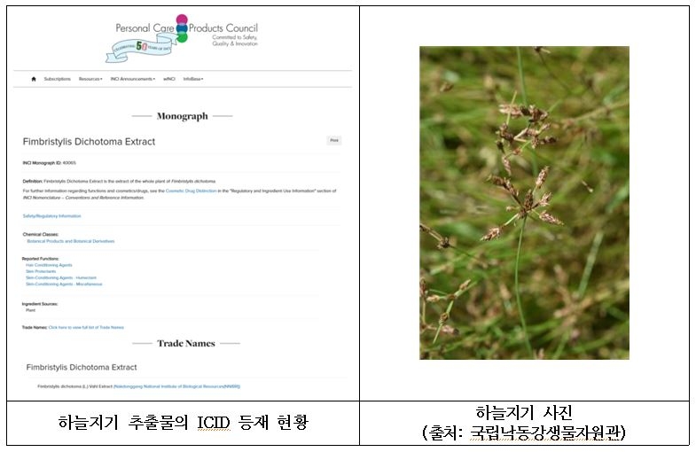 [국립낙동강생물자원관 제공]