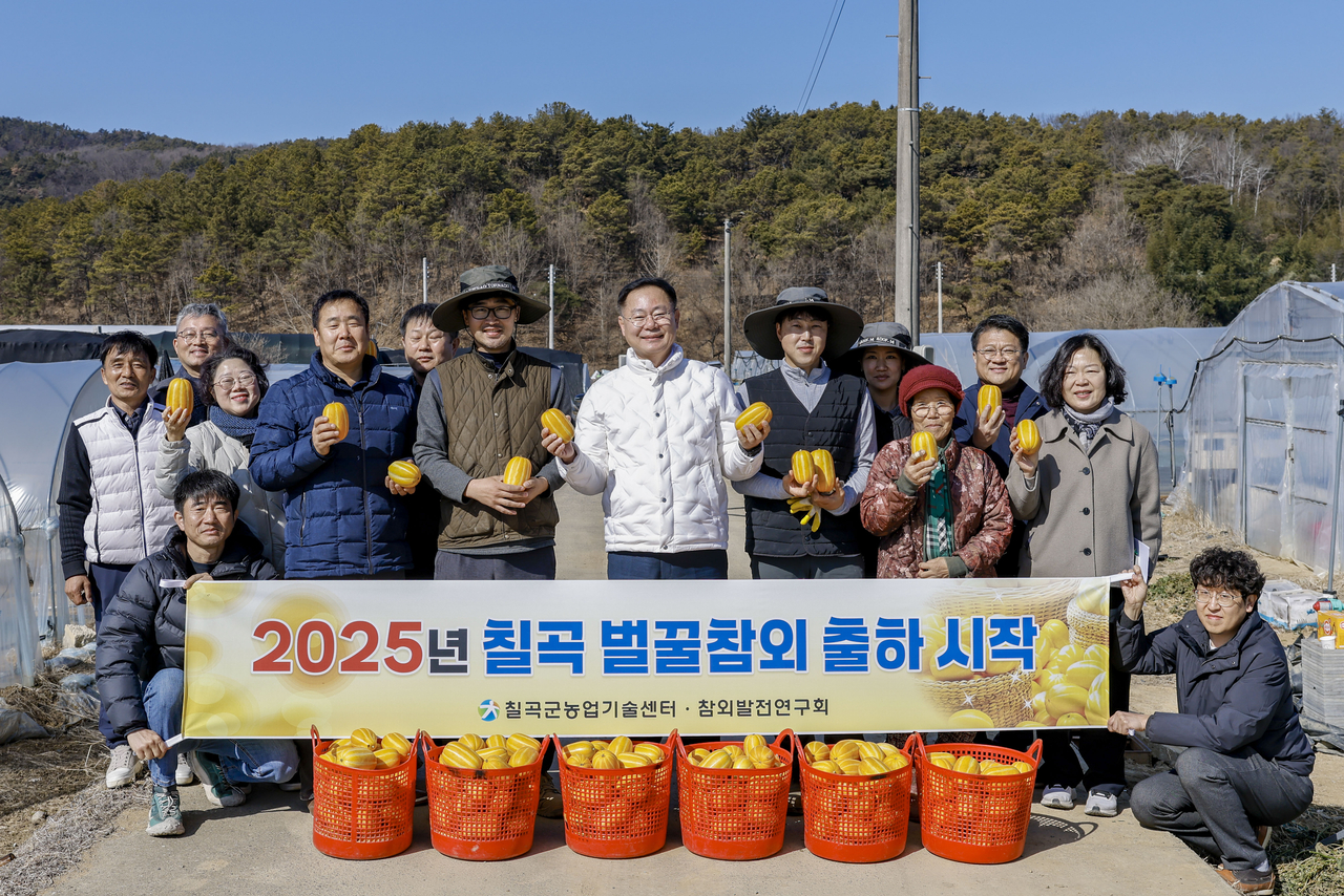 [칠곡군 제공]
