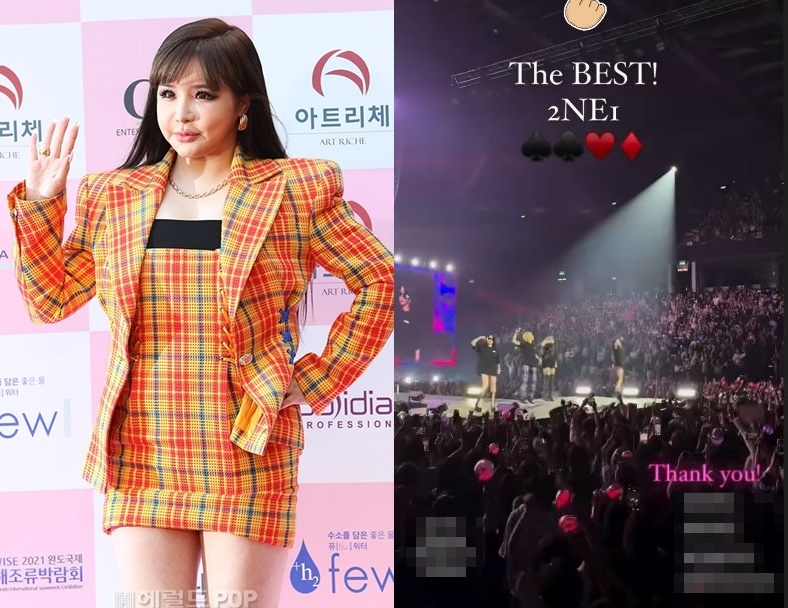 박봄/사진=헤럴드POP DB, 산다라박 채널 스토리