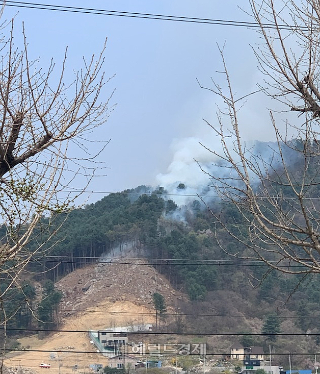 기사 이해를 돕기위한 자료사진
