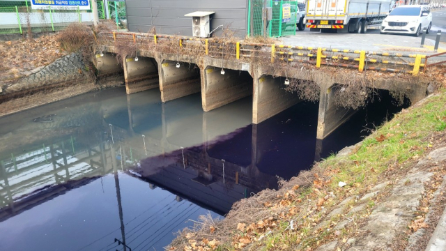 Purple wastewater leaked into the same stream on Jan. 8. (Courtesy of a reader surnamed Lee)