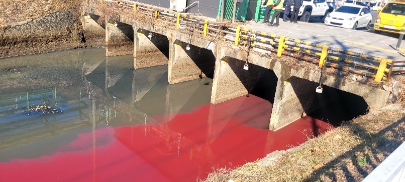 A stream running through the dyeing and finishing industrial zone in western Daegu is seen to be stained with dark pink wastewater on Monday. (Courtesy of a reader surnamed Lee).