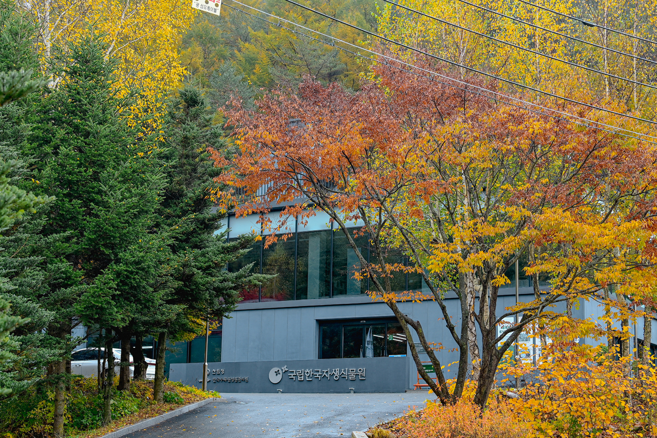 국립한국자생식물원(한국수목원정원관리원제공)