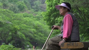 DMZ Docs showcases Park Soo-nam's unflinching lens