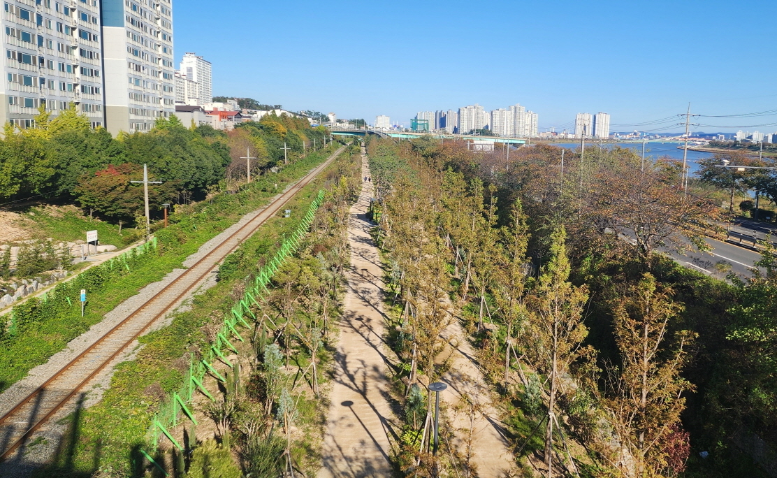 포항 관문숲 조성 전.(포항시 제공)