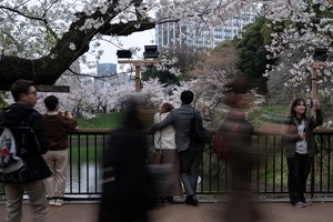 Japan's births fell to record low in 2024