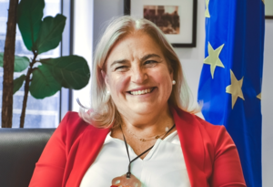 Empowering women in decision-making enables stronger, safer society: EU envoy