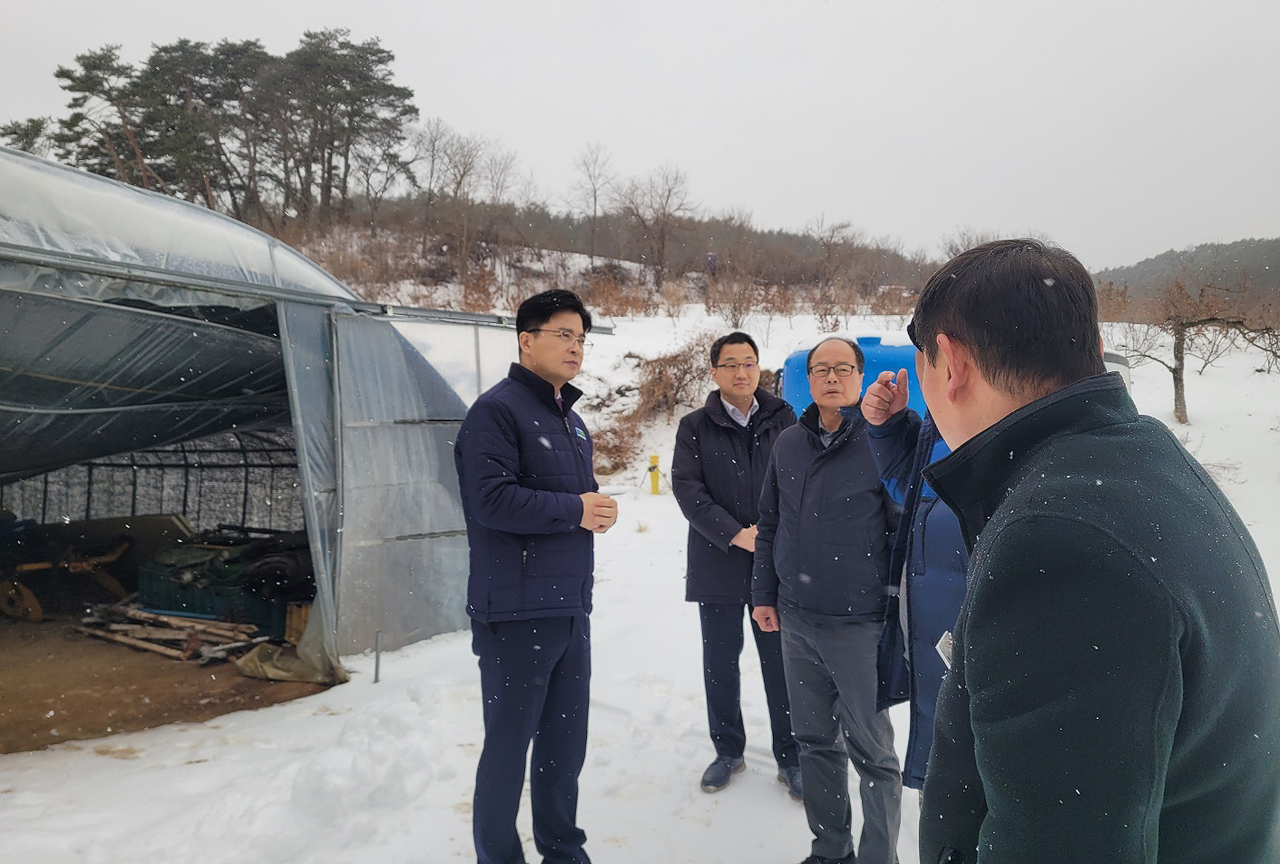 최진수 경북농협 본부장이 폭설로 피해를 본 경북 봉화군 법전면에 있는 농가를 방문해 현장을 점검하고 있다.(경북농협제공)