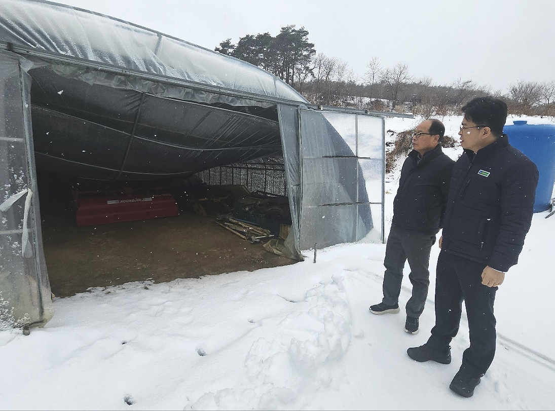 최진수 경북농협본부장이 폭설로 피해를 본 경북 봉화군 법전면 소재 농가를 방문해 현장을 점검하고 있다.(경북농협제공)