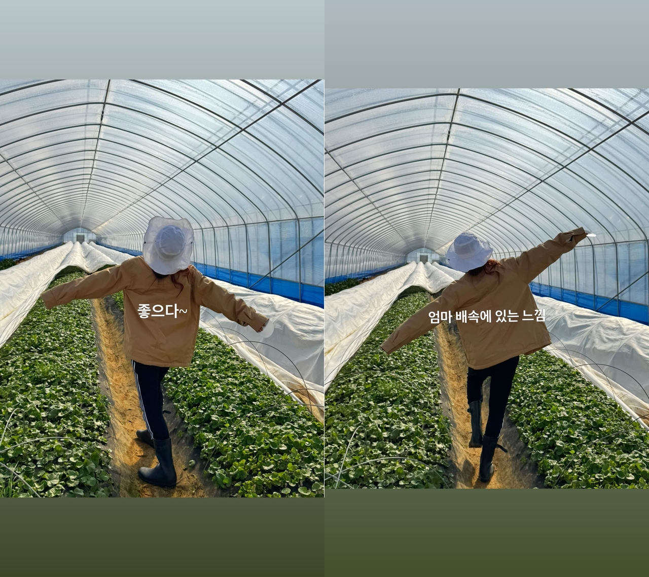 슈 채널 스토리
