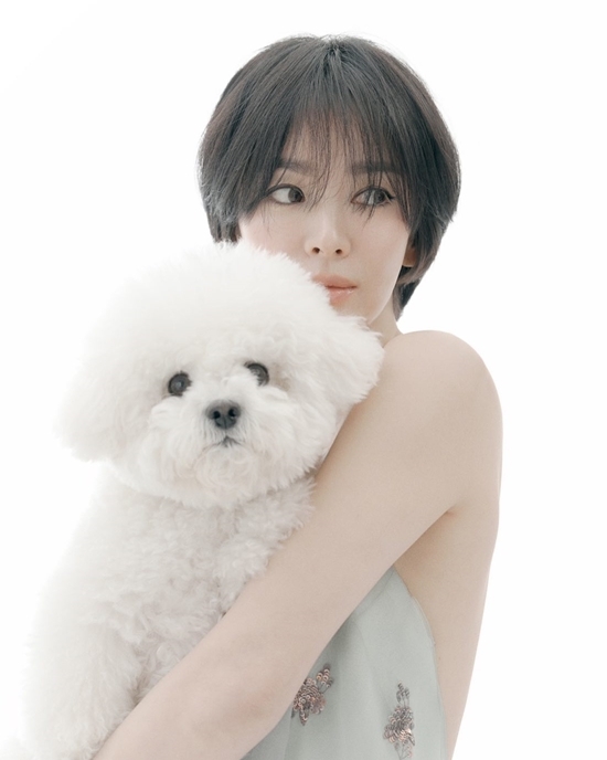 사진=송혜교 채널