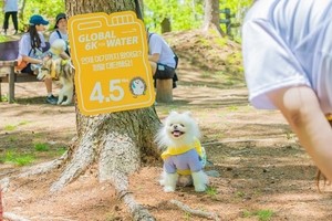 Largest pet-friendly hike to take place in May
