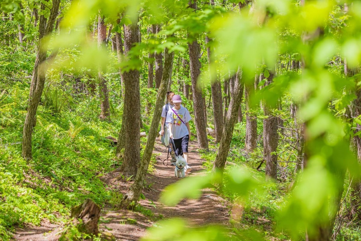 Daengdaeng Trekking (High1 Resort)