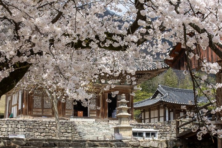 Naesosa in Buan, North Jeolla Province (Cultural Corps of Korean Buddhism)