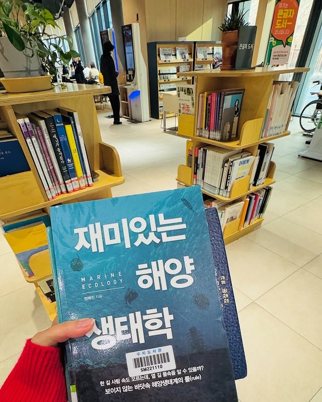 사진=최송현 채널