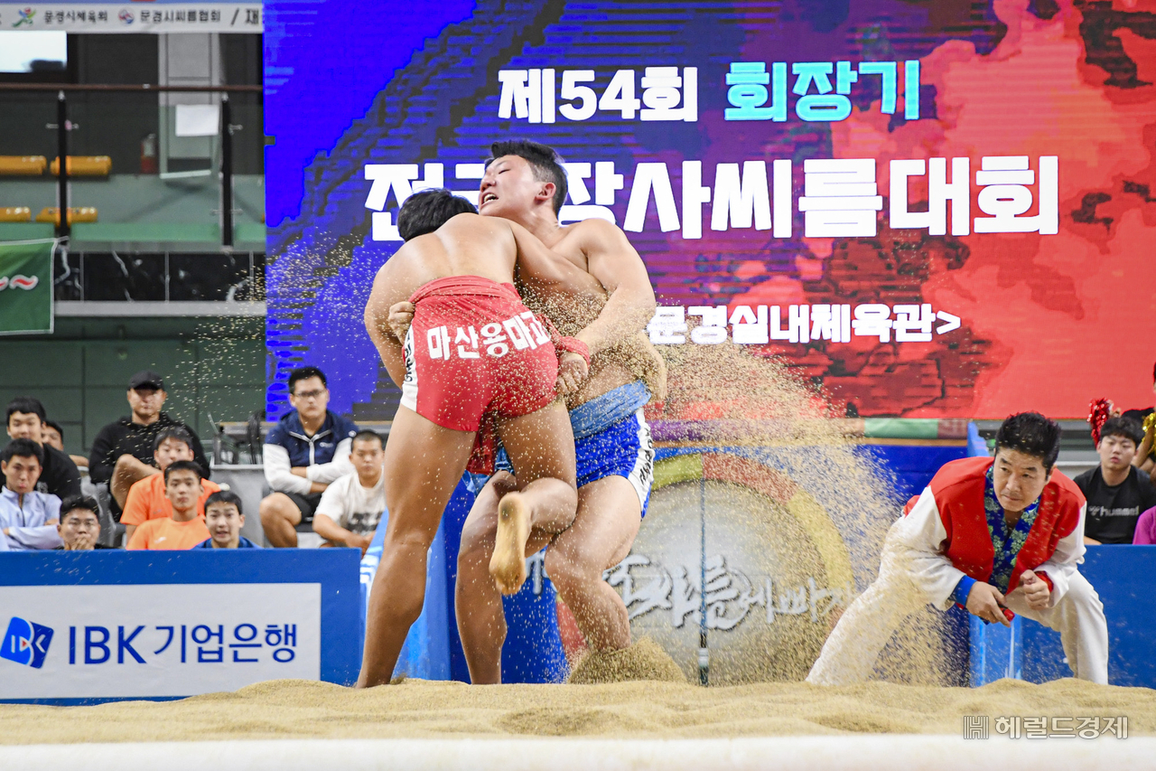 지난해 8월 문경서 열린 천하장사 씨름대회(헤럴드 DB)