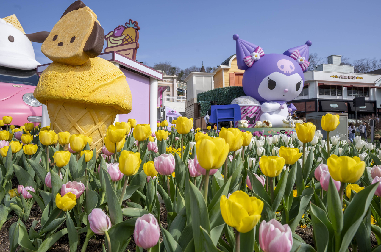 Tulips at Everland in Yongin, Gyeonggi Province (Everland)