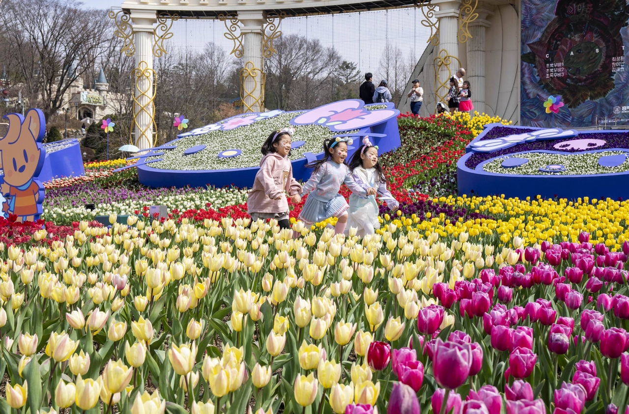 Tulips at Everland in Yongin, Gyeonggi Province (Everland)