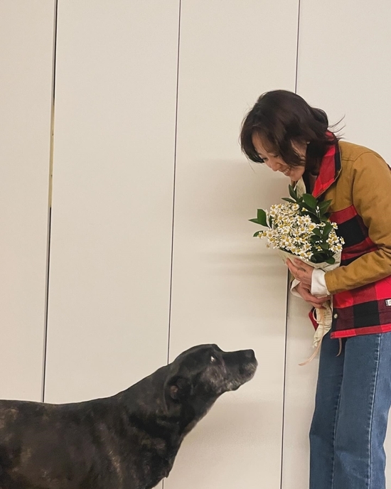 사진=전혜진 채널