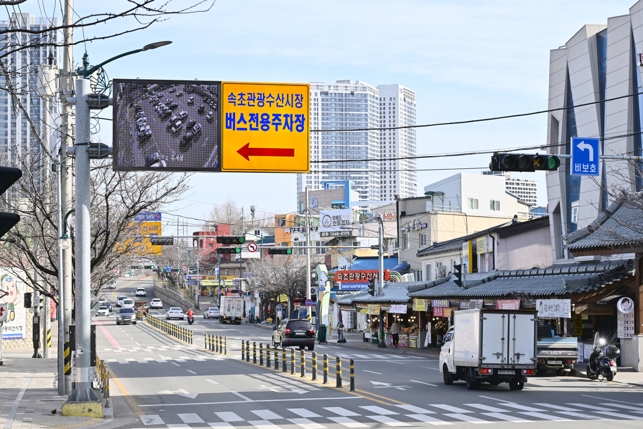 [속초시 제공]