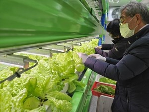 창원시, 올해 노인일자리 역대 최대 … 1만6397개 일자리 창출