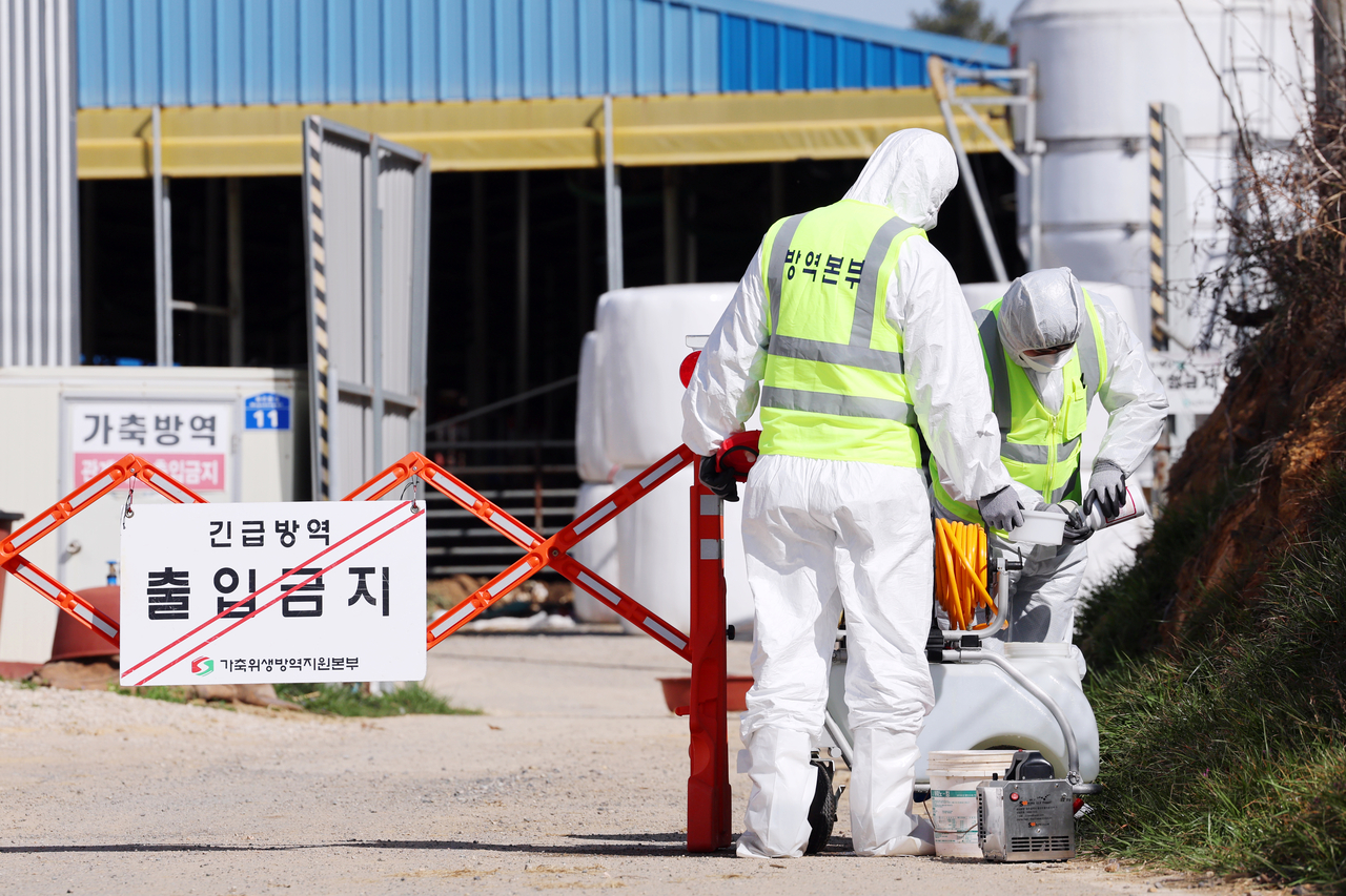 14일 오전 구제역이 발생한 전남 영암군 한 한우농장 앞에서 방역본부 관계자들이 출입 통제 안내판을 설치하고 있다.［연합］