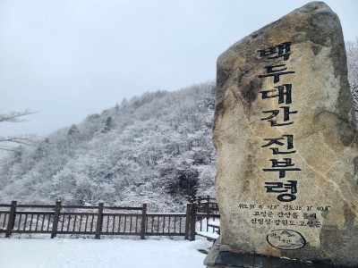 Spring chill hits Korea with heavy snow and rain