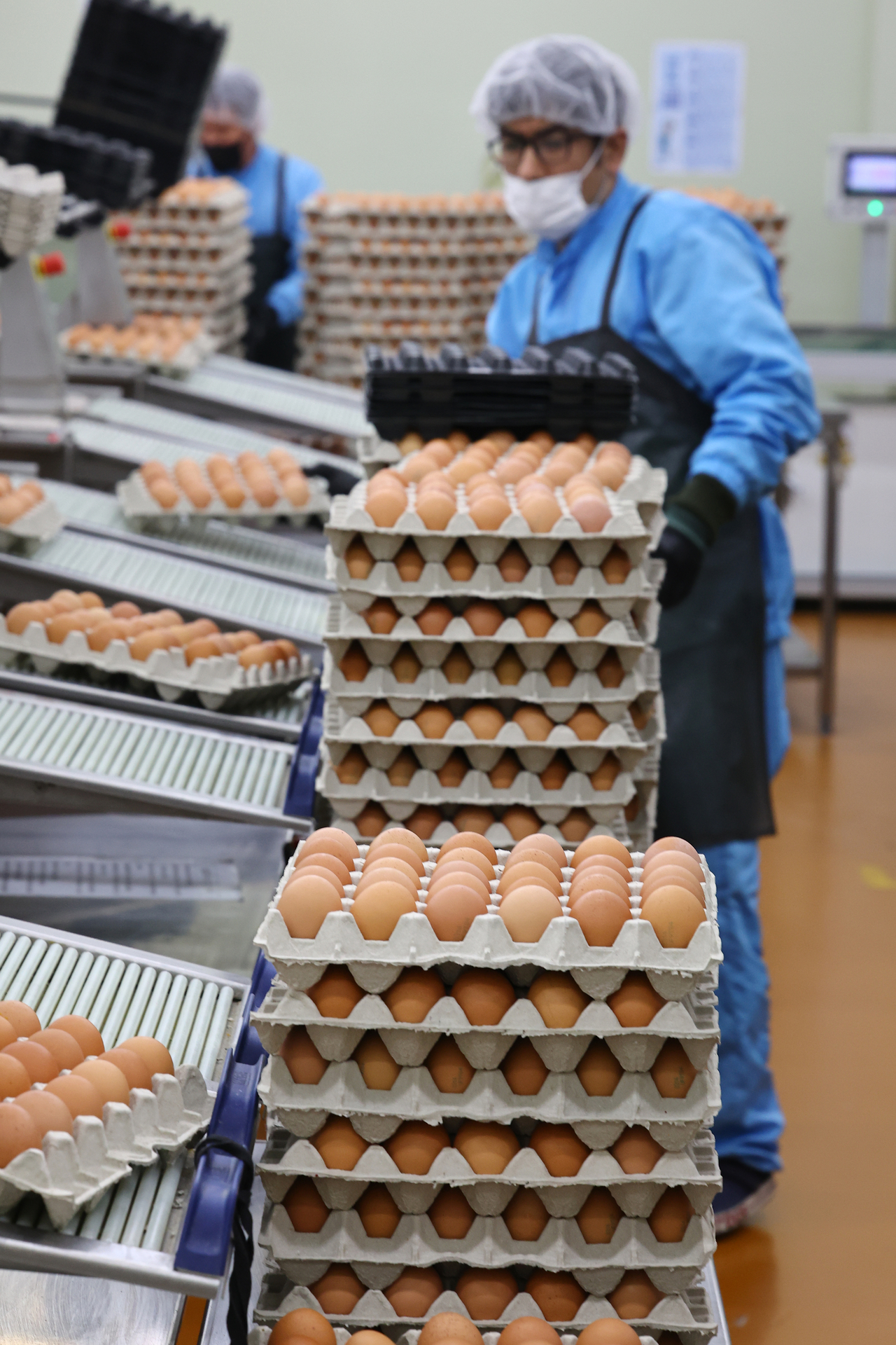 This Monday photo shows an egg farm in Cheonan, about 80 kilometers south of Seoul. (Yonhap)