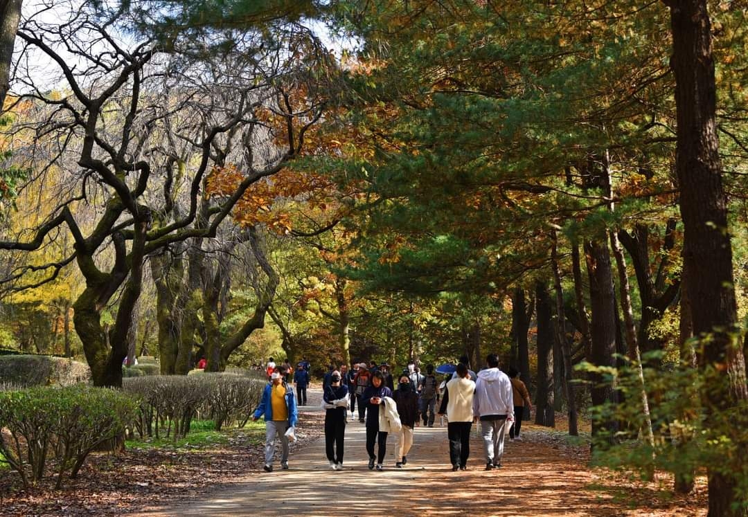Visitors walk along a path at the Seoul National University Gwanak Arboretum during its pilot opening in October 2024. (Anyang City)