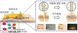 “찢어져도 10초면 원상복원” 신기한 ‘전자피부’, 대체 뭐길래