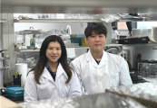 “항암 온열치료 효과 4배↑” KAIST, ‘카이랄 나노 페인트’ 기술 개발