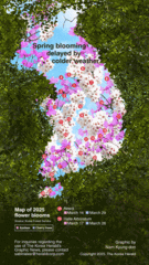 [Graphic News] Spring blooming delayed by colder weather