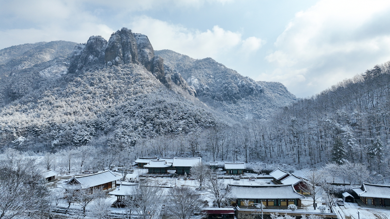 [청송군 제공]