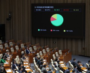 연금개혁 반대·기권 83표…“기성세대 양보 빠져, 청년희망 빼앗아”
