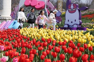Spring blooms at Everland