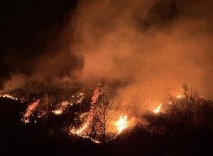 Evacuation order widens as firefighting efforts continue against Sancheong wildfire