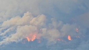 2 firefighters killed in southeastern wildfires; state of disaster declared