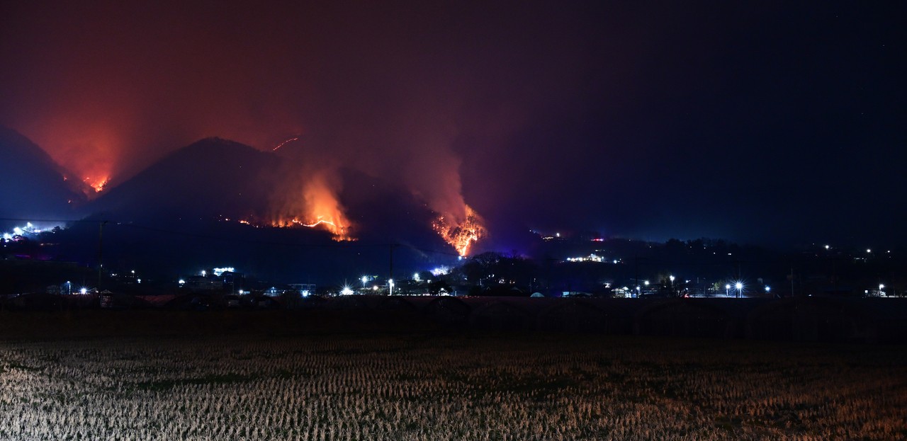 “산불, 산불, 산불” 대구·울산·경북까지, 건조주의보에 전국 난리