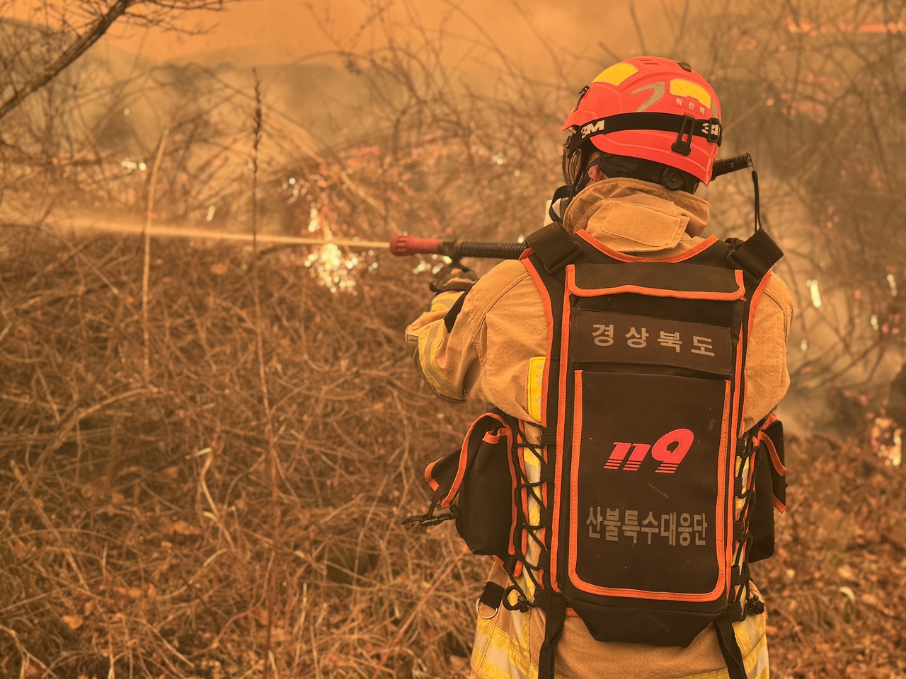 22일 경북 의성군 안평면 괴산리 야산에서 불이 나 경북소방본부 대원들이 진화 작업을 펼치고 있다. [연합]