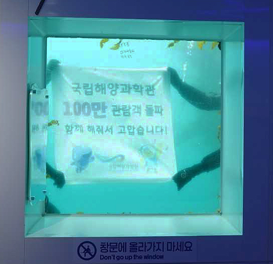 국립해양과학관이 누적 관람객 100만 명 돌파를  기념하기위해 바닷속 전망대에서 수중 퍼포먼스를 하고 있다(과학관 제공)