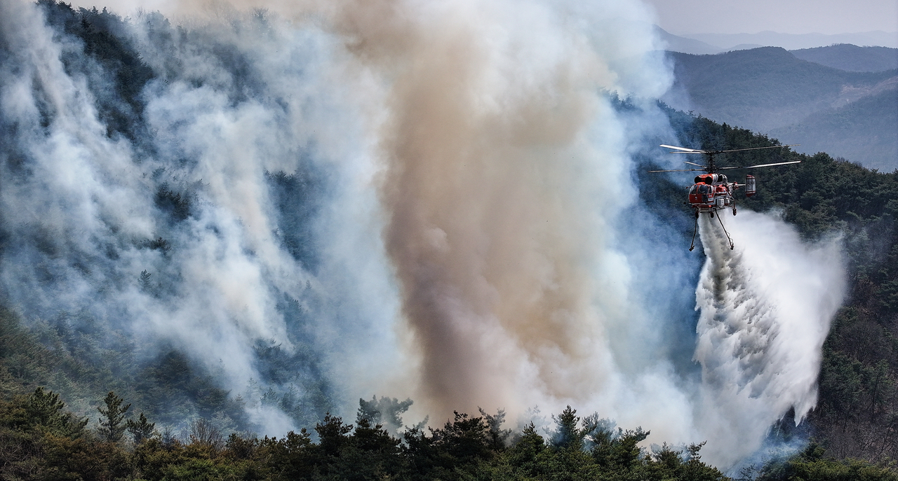 Authorities put out a fire using a helicopter on Sunday, a day after a wildfire broke out in Sancheong, South Gyeongsang Province. (Yonhap)