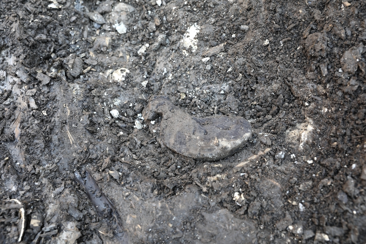 A bird-shaped vessel unearthed in Gimhae, South Gyeongsang Province (Korea Heritage Service)