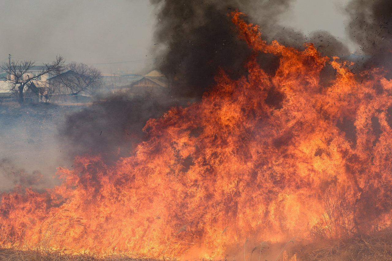 A wildfire spreads amid strong winds on Monday in Uiseong-gun, North Gyeongsang Province. (Yonhap)