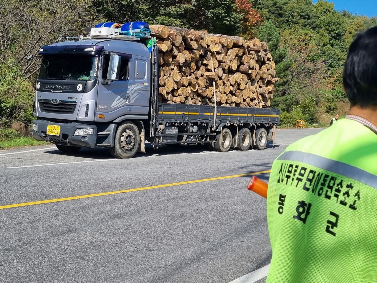 봉화군이 소나무를 운반하는 화물차를 단속하고 있다. (봉화군 제공)
