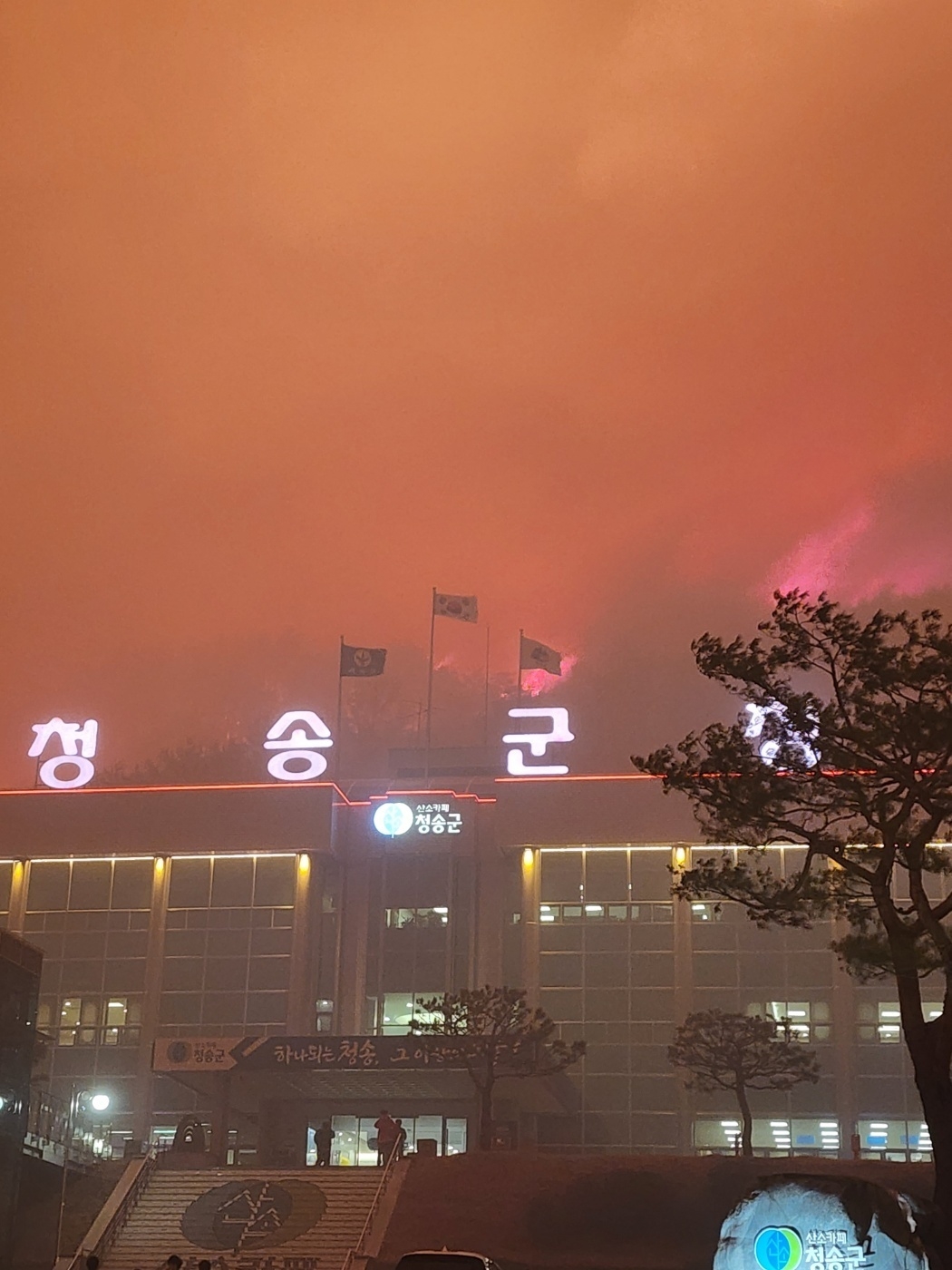 Wildfire that broke out in Cheongson, North Gyeongsang Province nears a building. (Yonhap)