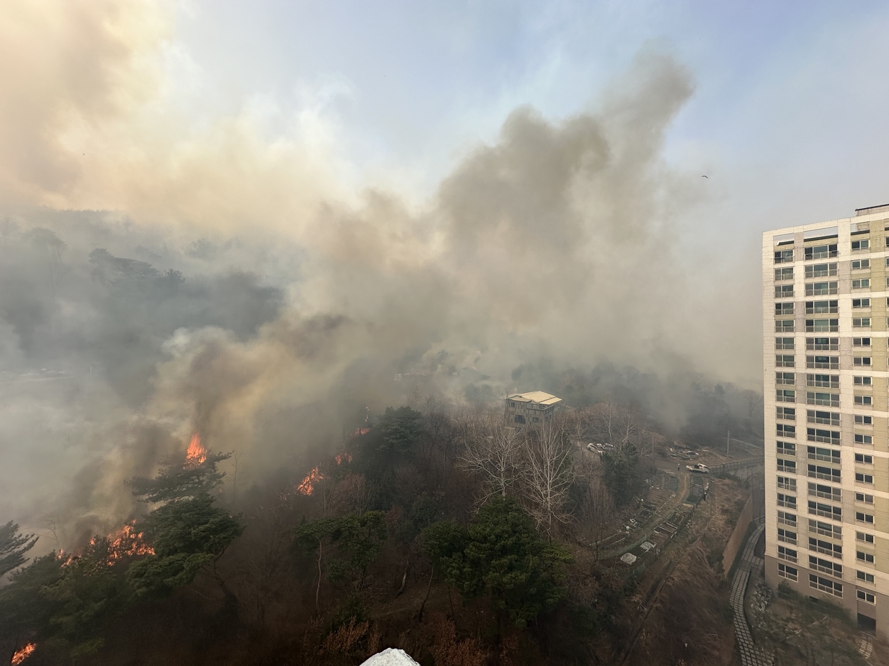 Thick smoke and advancing flames from a wildfire near Songdae-ri, Eonyang in Ulju-gun, Ulsan, approach a high-rise apartment complex on Tuesday. (Yonhap)