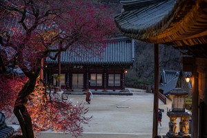 Festivals, sights across Korea