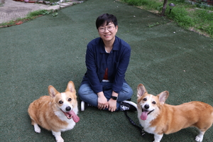 Traveling with pets made easy Traveling with pets made easy