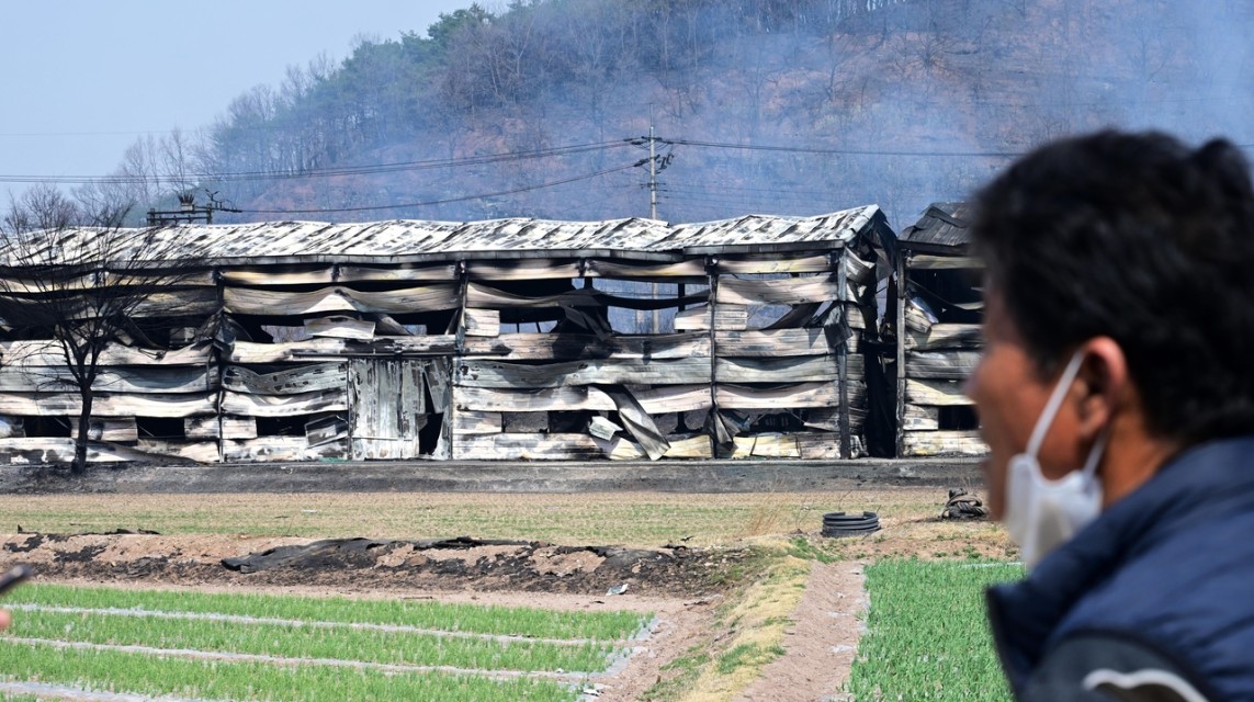 지금까지 이런 산불은 없었다…피해 면적 역대 최대 넘었다 [세상&]