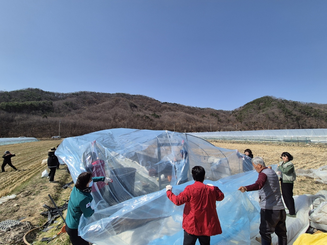 [성주군 제공]